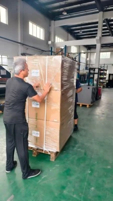 Tenen una pressa frenètica per complir els terminis.